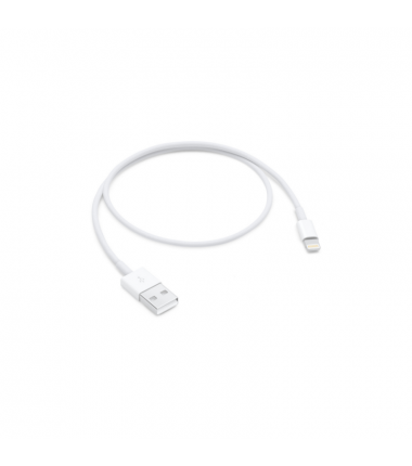 Grossiste apple - Câble Usb Lightning Apple 0,5m