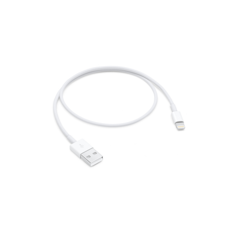 Câble Apple Lightning vers USB 0,5m