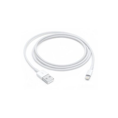 Câble Apple Lightning vers USB 1m